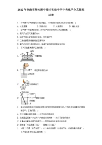 2022年湖南省师大附中博才实验中学中考化学全真模拟试卷（含答案解析）