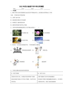 【中考真题】2022年四川省遂宁市中考化学试卷（附答案）