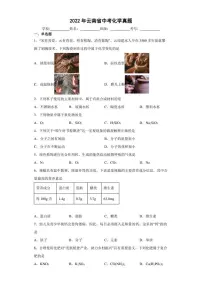 【中考真题】2022年云南省中考化学试卷(附答案)