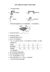 2022年浙江省宁波市中考化学试卷（包含答案解析）