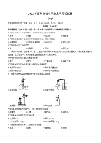 2022年江苏省苏州市中考化学真题(word版含答案)