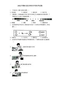 2022年浙江省台州市中考化学试卷(含答案解析）