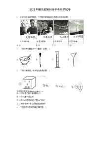 2022年湖北省随州市中考化学试卷(含答案解析)