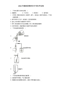 2022年湖南省郴州市中考化学试卷（含答案解析）