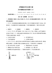 沪教版化学九年级下册  期末测试卷2（含答案）