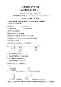 沪教版化学九年级下册  期末测试卷3（含答案）