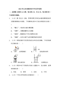 2022年山东省潍坊市中考化学试卷解析版