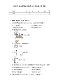 2022年山东省聊城市临清市中考化学三模试卷（Word 含解析）