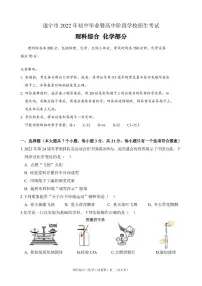 2022四川遂宁市中考化学试卷及答案