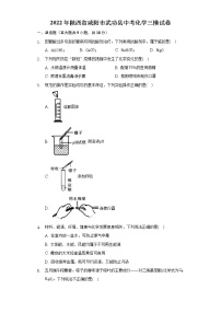 2022年陕西省咸阳市武功县中考化学三模试卷（Word解析版）