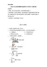 2022年山东省聊城市临清市中考化学三模试卷（Word解析版）