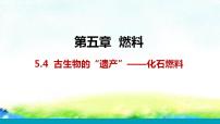 科粤版九年级上册5.4 古生物的“遗产”——化石燃料教学ppt课件