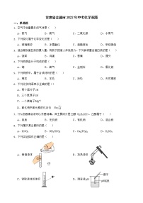 甘肃省金昌市2022年中考化学真题及答案