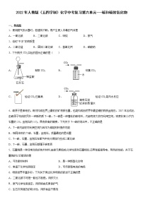 2022年人教版（五四学制）化学中考复习第六单元碳和碳的氧化物