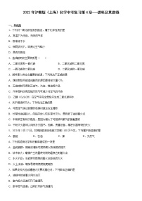 2022年沪教版（上海）化学中考复习第4章燃料及其燃烧