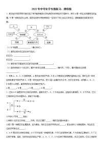 2022年中考化学专题复习推断题练习