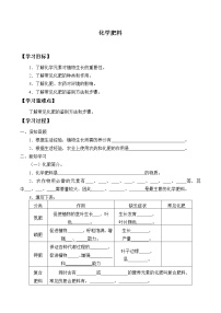 人教版 (五四制)九年级全册课题2 化学肥料优质学案设计