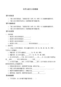 初中化学人教版 (五四制)九年级全册课题2 化学元素与人体健康优质学案设计