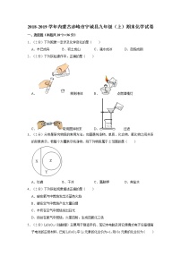 初中化学九上2018-2019学年内蒙古赤峰市宁城县九年级（上）期末化学试卷（解析版）