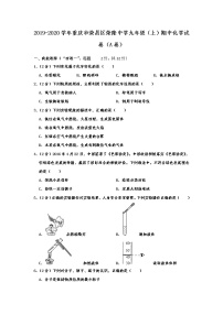 初中化学九上重庆市荣昌区荣隆中学2019-2020学年九年级（上）期中化学试卷（a卷）  含解析