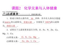 初中化学人教版九年级下册课题2 化学元素与人体健康习题ppt课件