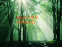 初中人教版第六单元 碳和碳的氧化物实验活动2 二氧化碳的实验室制取与性质课文免费课件ppt