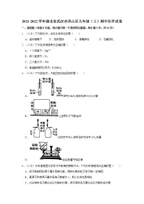 2021-2022学年湖北省武汉市洪山区九年级(上)期中化学试卷
