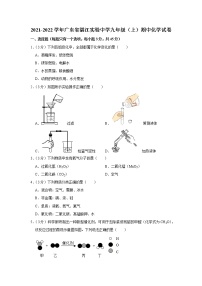 2021-2022学年广东省湛江实验中学九年级（上）期中化学试卷(含答案)