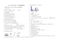 2022-2023学年安徽省怀宁县九年级（上）化学期末模拟题