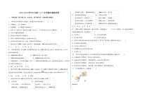 2022-2023学年安徽省郎溪县九年级（上）化学期末模拟题