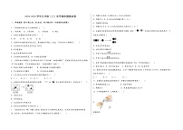 2022-2023学年安徽省无为县九年级（上）化学期末模拟题