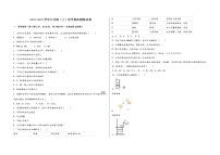 2022-2023学年安徽省芜湖市新芜区九年级（上）化学期末模拟题