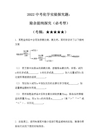 2022中考化学实验探究题：除杂提纯探究（必考型）（无答案）