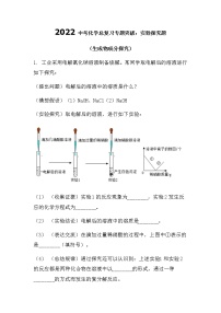 2022中考化学总复习专题突破实验探究题（生成物成分探究）（无答案）