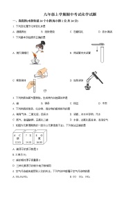 河南省漯河市实验中学2021-2022学年九年级上学期期中化学试题