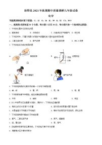 河南省南阳市新野县2021-2022学年九年级上学期期中化学试题