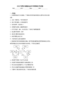 2022年四川省眉山市中考模拟化学试题(含答案)