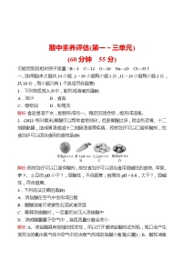 期中素养评估(第一～三单元) 同步练习2021-2022 鲁教版 化学九年级 全一册