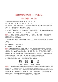 期末素养评估(第一~六单元) 同步练习2021-2022 鲁教版 化学九年级 全一册