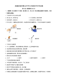 天津市武清区杨村第五中学2022-2023学年九年级上学期第一次月考化学试题(含答案)