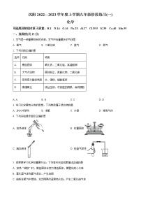 辽宁省沈阳市2022-2023学年九年级上学期阶段练习（一）化学试题(含答案)