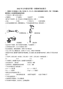 河南省周口市第十九初级中学2022-2023学年九年级上学期第一次月考化学试题（含答案）