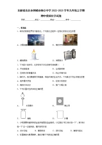 安徽省安庆市桐城市杨公中学2022-2023学年九年级上学期期中模拟化学试题(含答案)