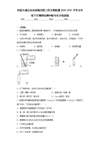 内蒙古通辽市奈曼旗汉授二区义教联盟2020-2021学年九年级下学期四校期中联考化学检测题(含答案)