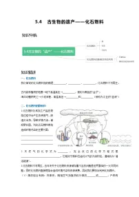 化学九年级上册5.4 古生物的“遗产”——化石燃料达标测试
