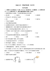 辽宁省丹东市凤城市东汤镇九年一贯制学校2022-2023学年九年级上学期第一次月考化学试题(含答案)