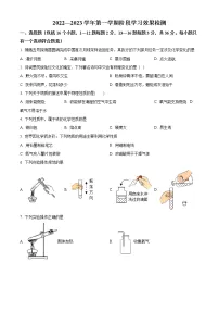 山东省德州市乐陵市化楼镇化楼中学2022-2023学年九年级上学期第一次月考化学试题(含答案)