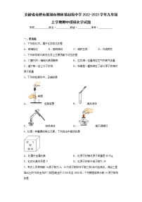 安徽省合肥市巢湖市槐林镇初级中学2022-2023学年九年级上学期期中模拟化学试题(含答案)