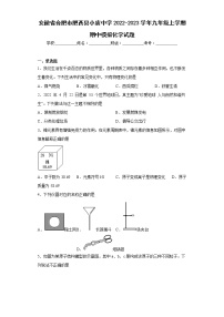 安徽省合肥市肥西县小庙中学2022-2023学年九年级上学期期中模拟化学试题(含答案)