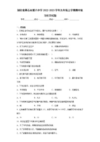 湖北省黄石市第八中学2022-2023学年九年级上学期期中复习化学试题(含答案)